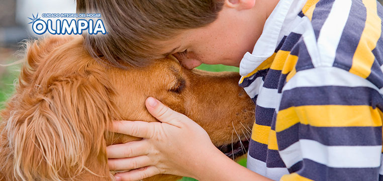 En tus hijos la cultura de cuidado y limpieza de tus mascotas - Olimpia